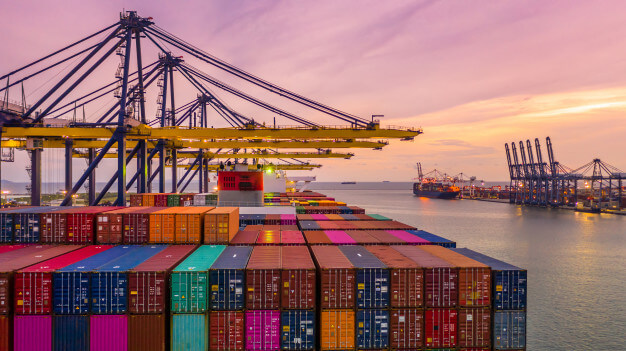 Import Organization and Management